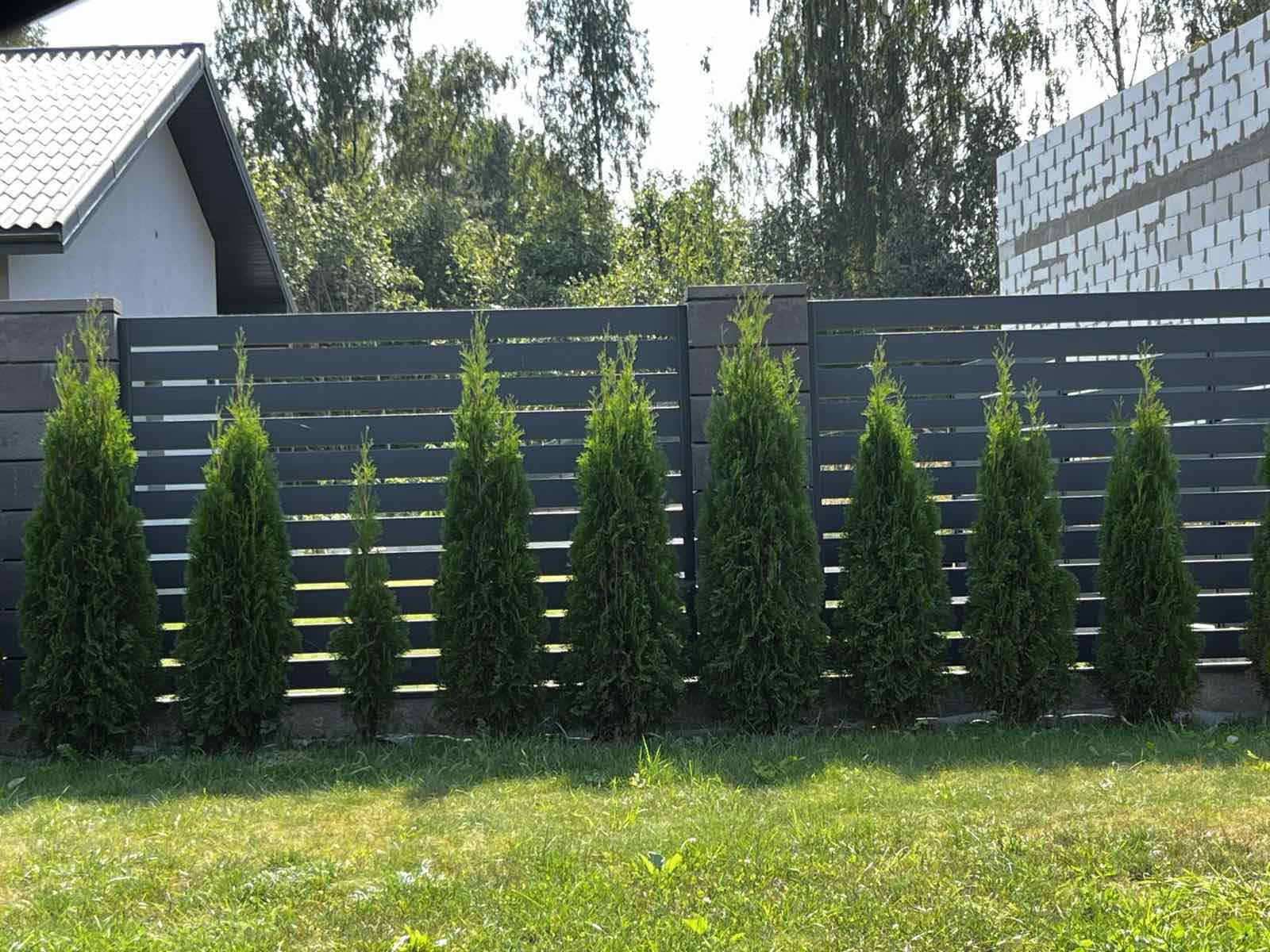 skardinė tvora – pilka